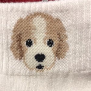 Korean Women’s dog socks